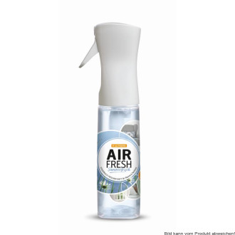 Raum- und Textilduftspray Air-Fresh 300 ml Sprühflasche Sommerfrisch (VPE: 12 Stück)